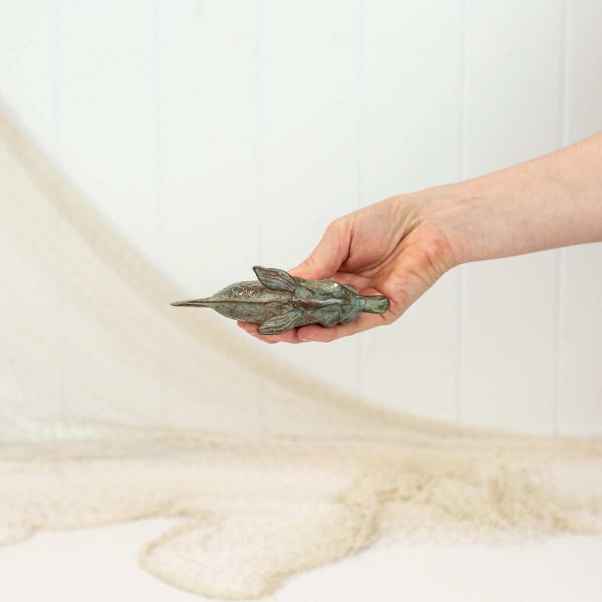 Angel Fish - Aged #0393