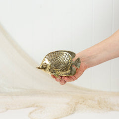 Angel Fish - Shiny #0369