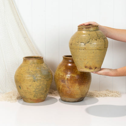 Plant Pot #607