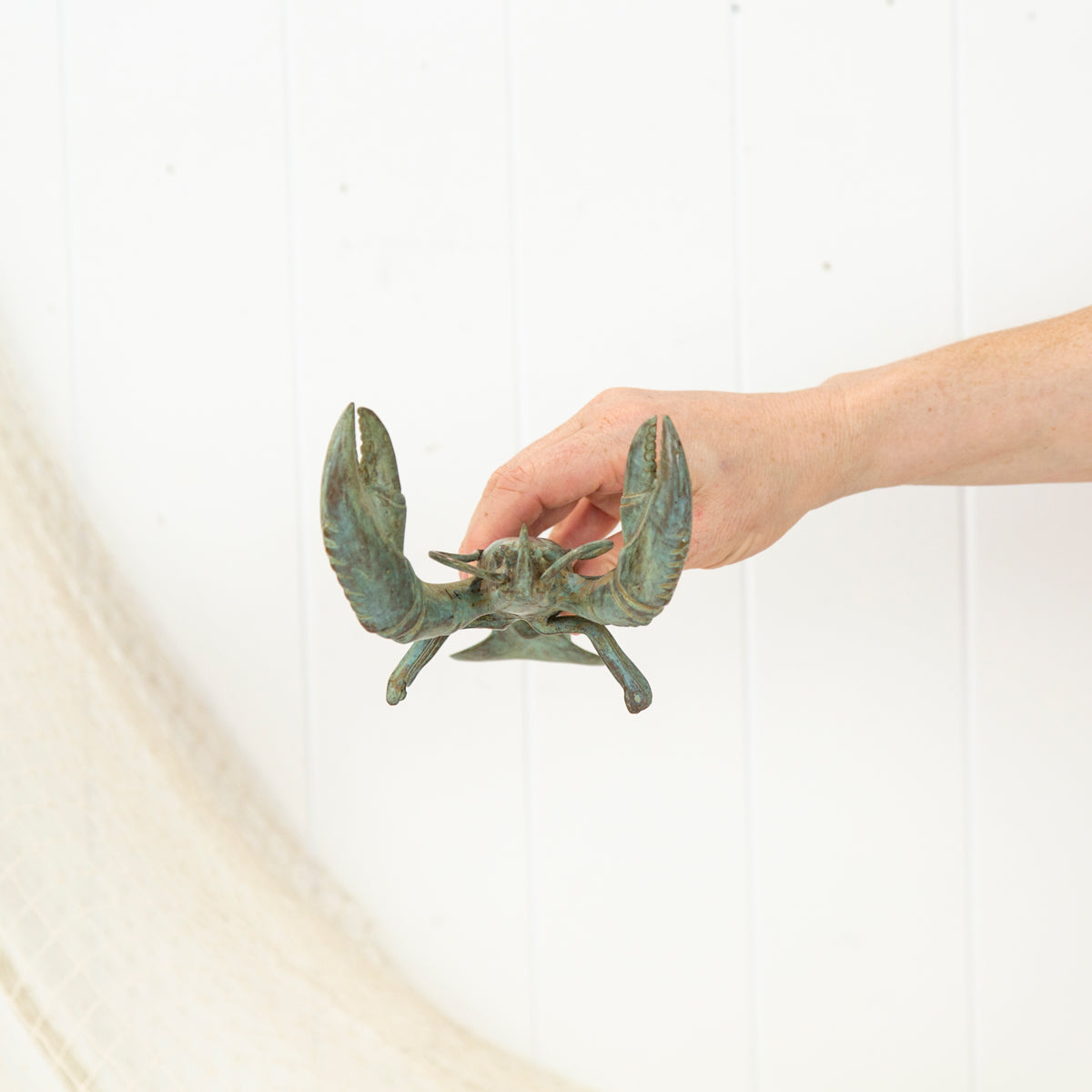 Lobster Aged (M)#0307A