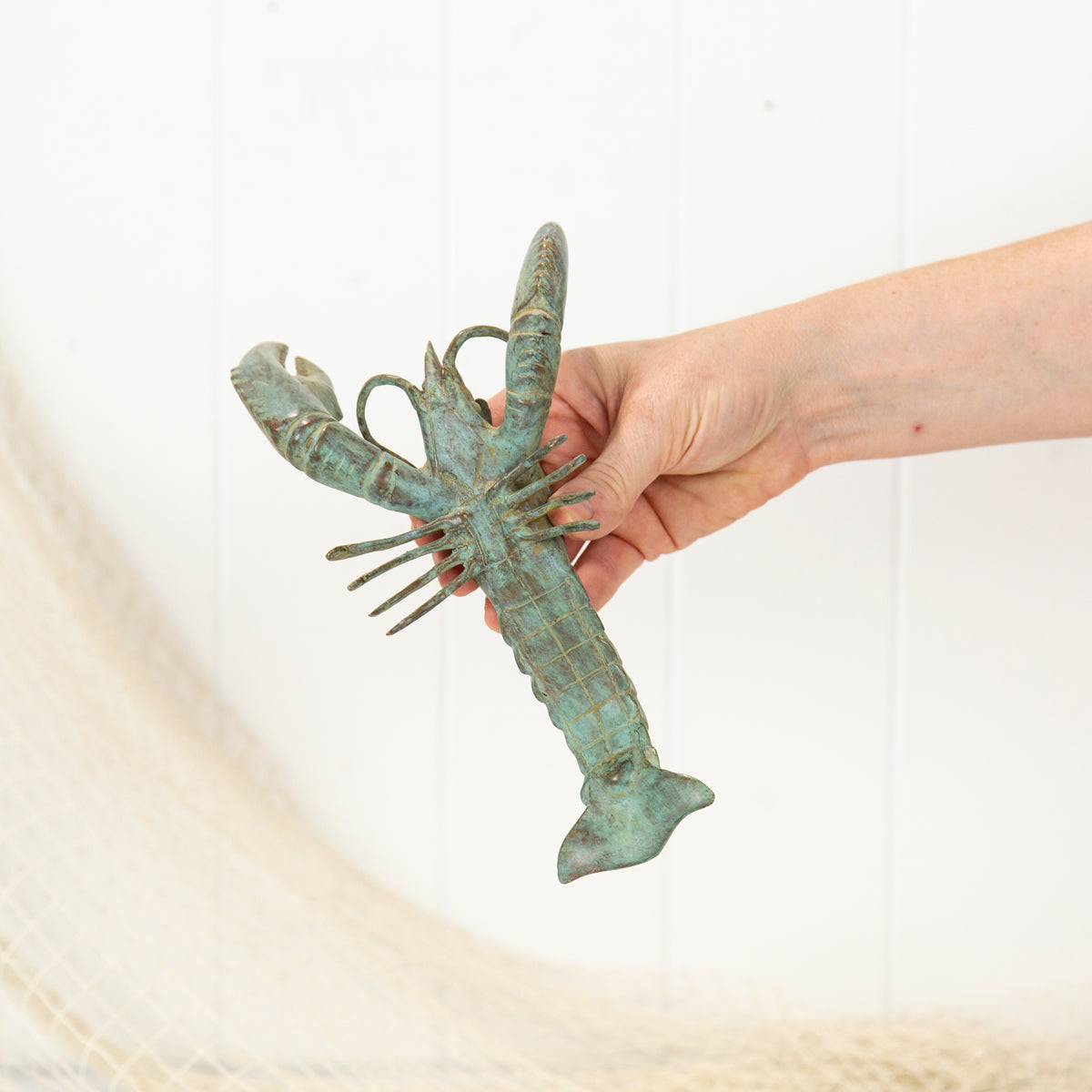 Lobster Aged (M)#0307A