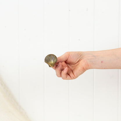 Scallop Shell Drawer Pull - Dark #0397