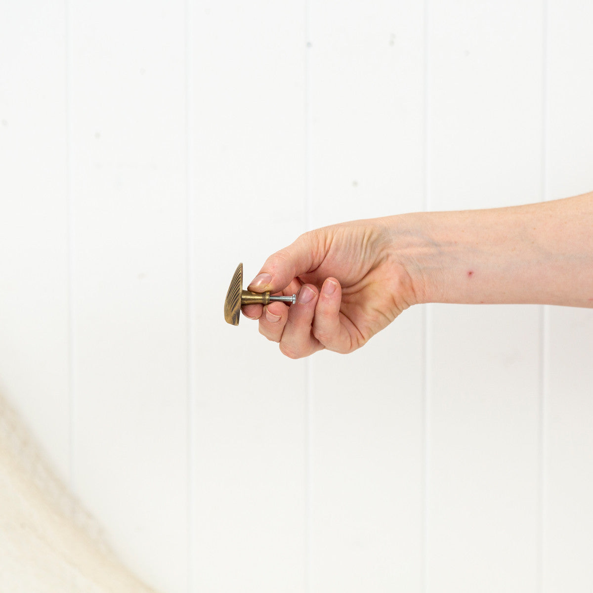 Scallop Shell Drawer Pull - Dark #0397