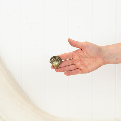 Scallop Shell Drawer Pull - Dark #0397