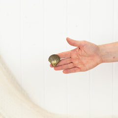 Scallop Shell Drawer Pull - Dark #0397