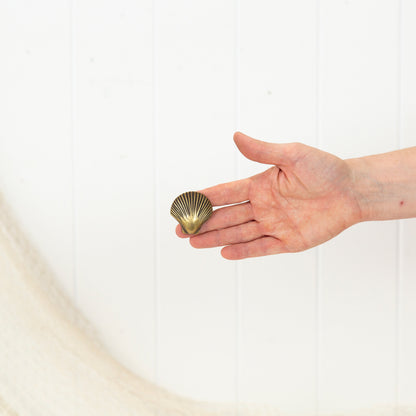 Scallop Shell Drawer Pull - Dark #0397