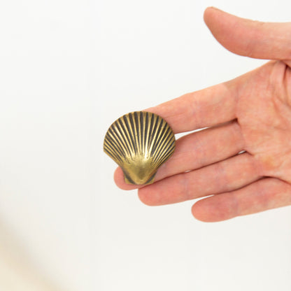 Scallop Shell Drawer Pull - Dark #0397