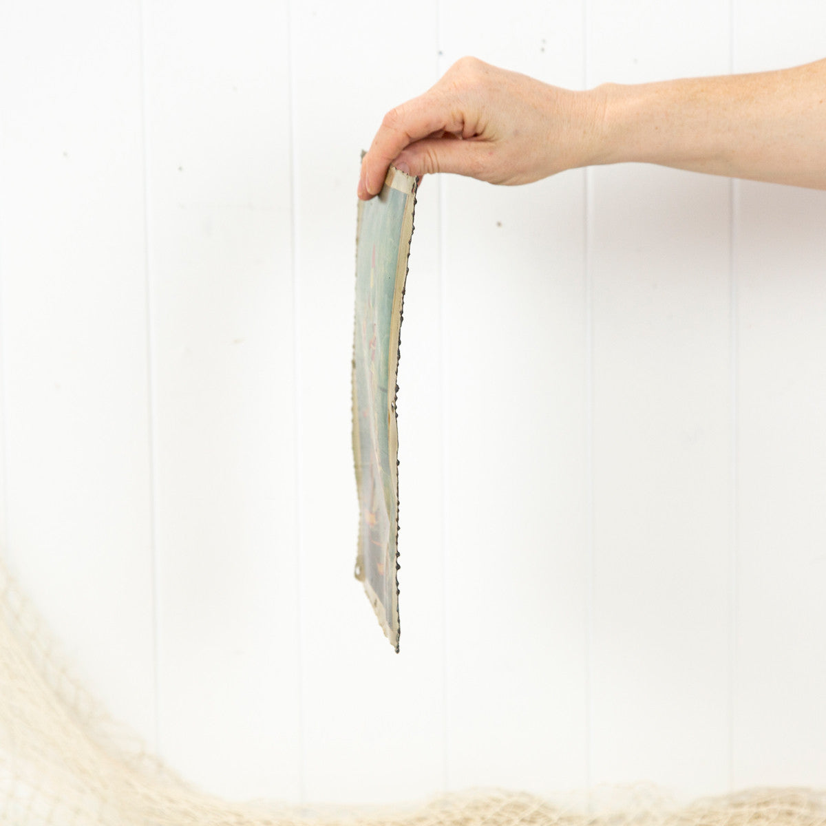 Metal Print (S) #808