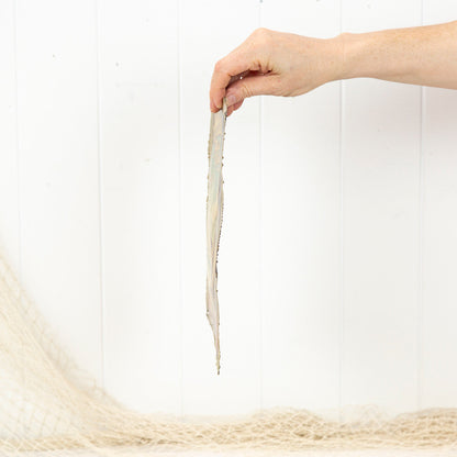 Metal Print (S) #811