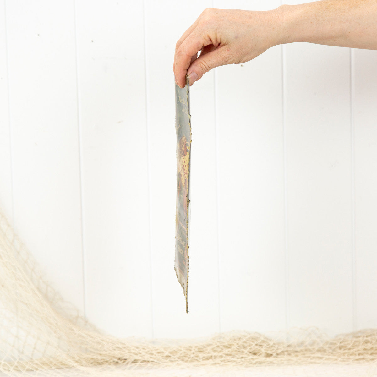 Metal Print (S) #814