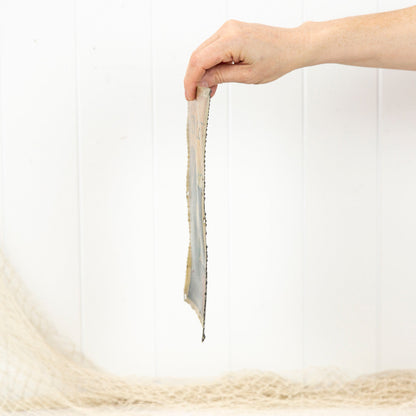 Metal Print (S) #815