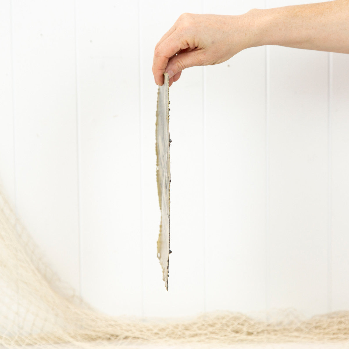 Metal Print (S) #816