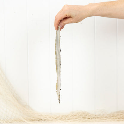 Metal Print (S) #816