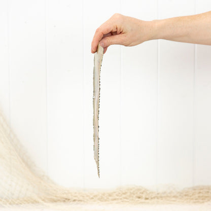 Metal Print (S) #820