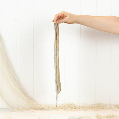 Metal Print (L) #839