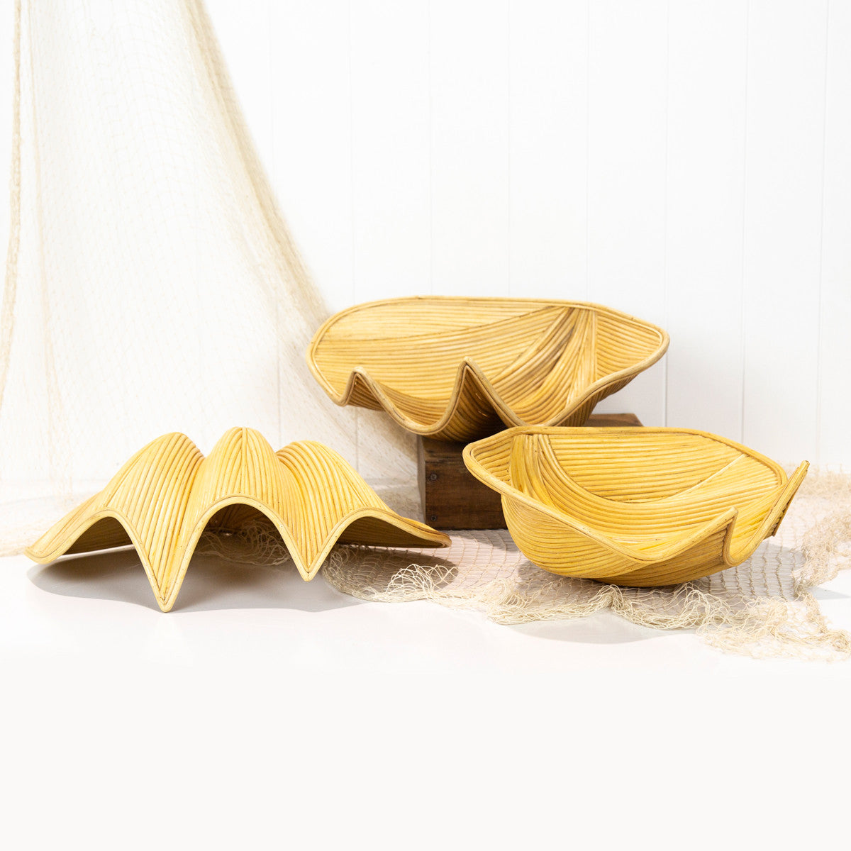 Rattan Clam Shell #104