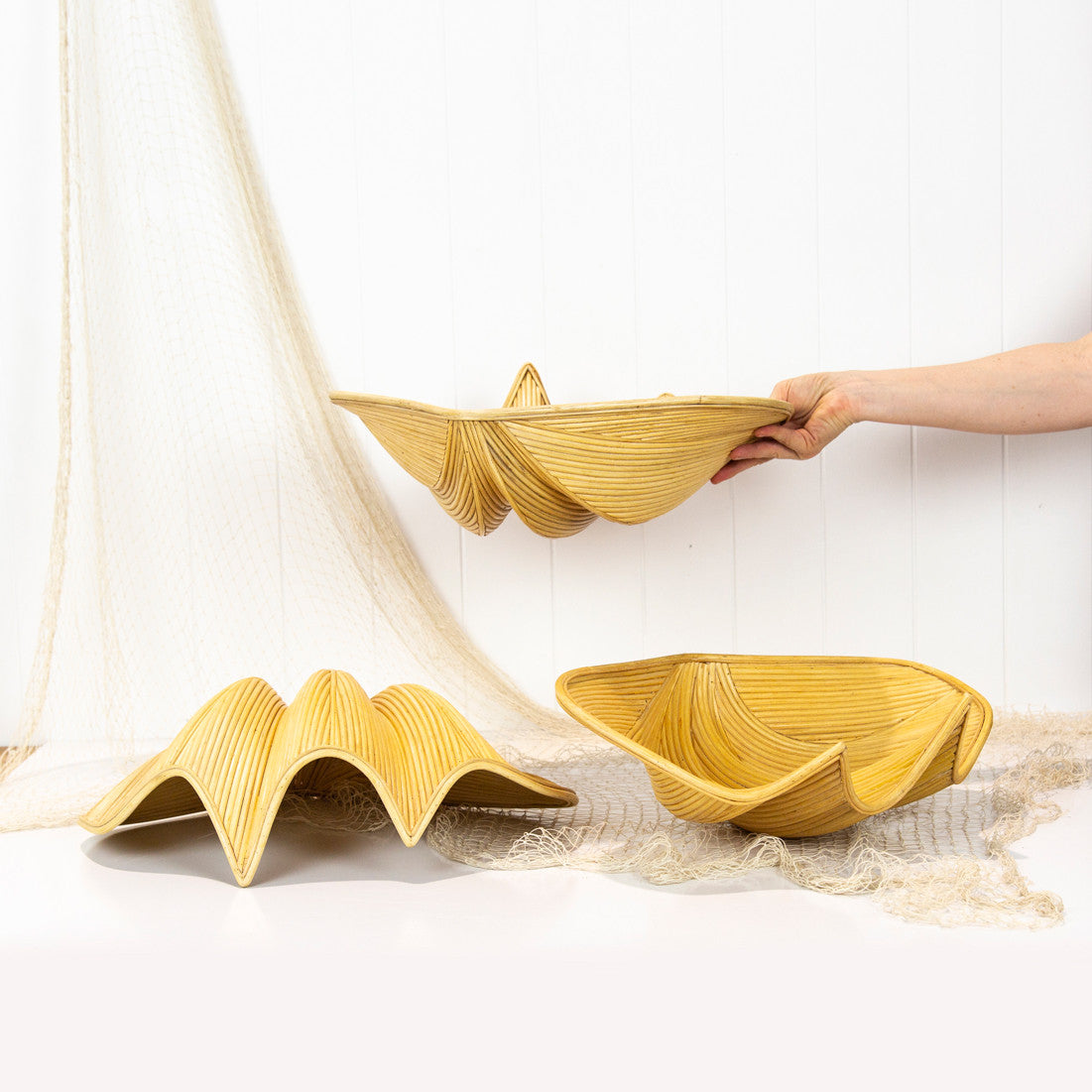 Rattan Clam Shell #104