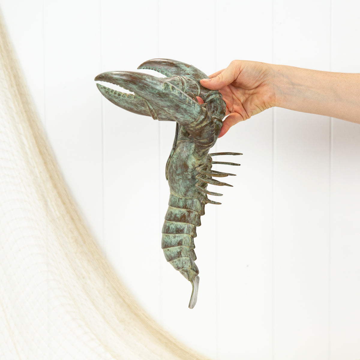 Lobster (L) - Aged #079