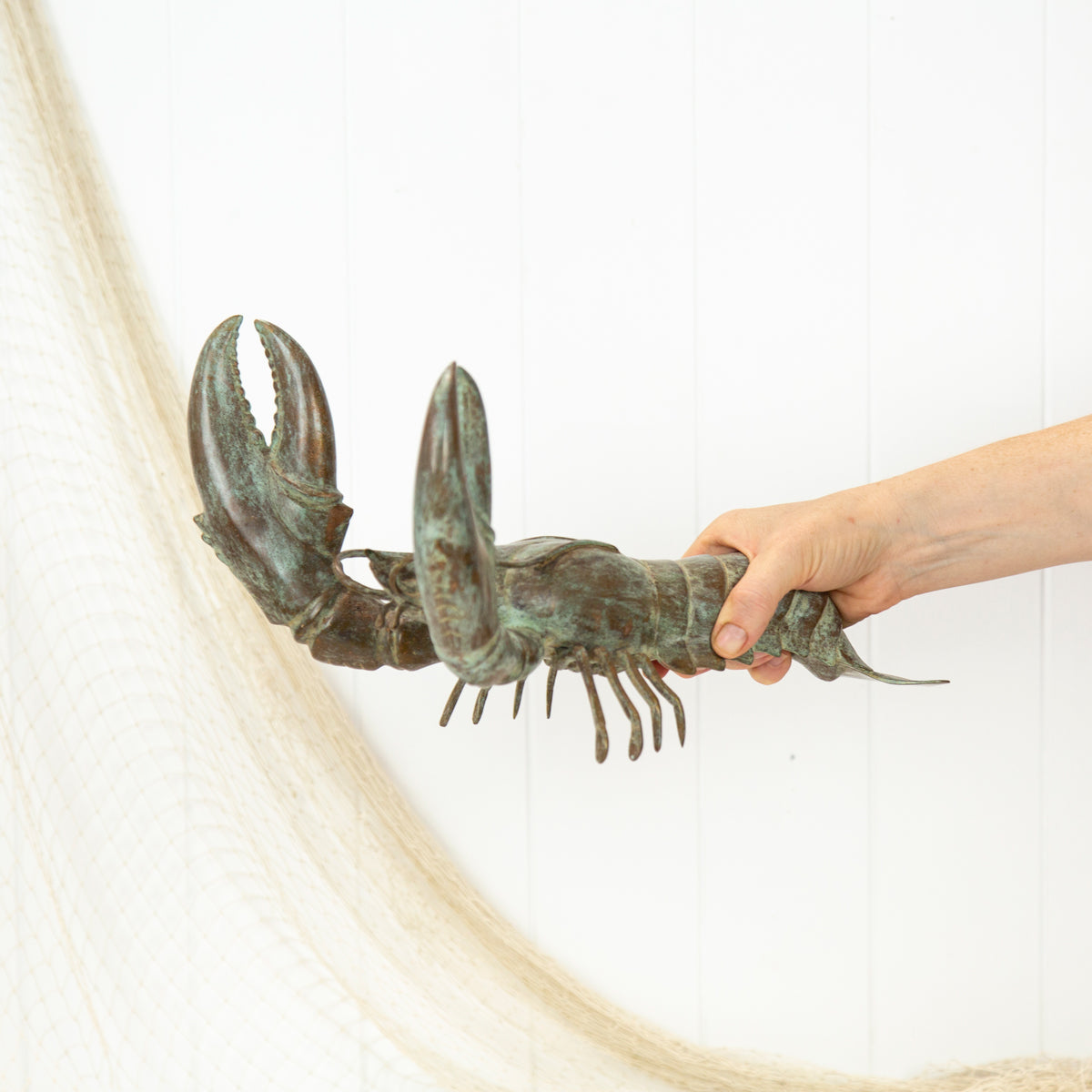 Lobster (L) - Aged #079