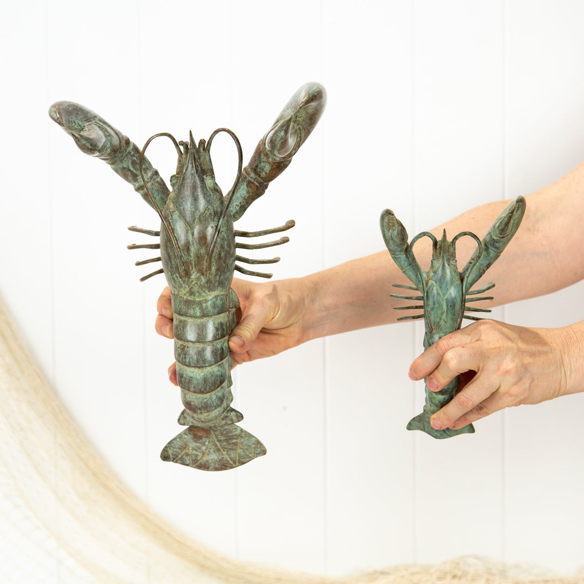 Lobster (L) - Aged #079