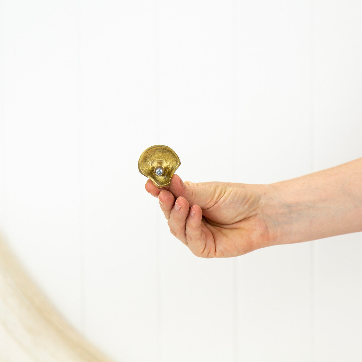 Scallop Shell Drawer Pull - Shiny #072