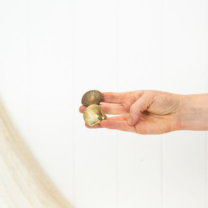 Scallop Shell Drawer Pull - Shiny #072