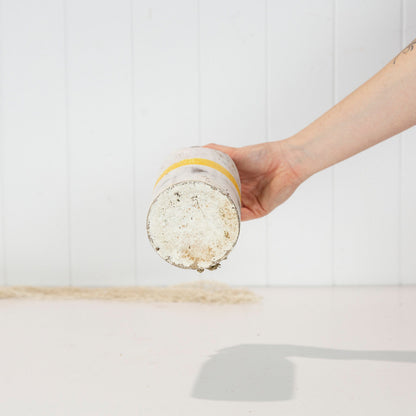 Buoy - Pencil Top Yellow #0453