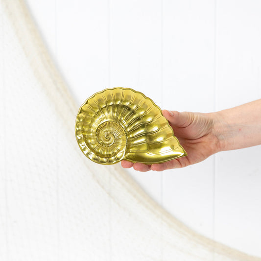 Nautilus Shell Dish - Shiny #092