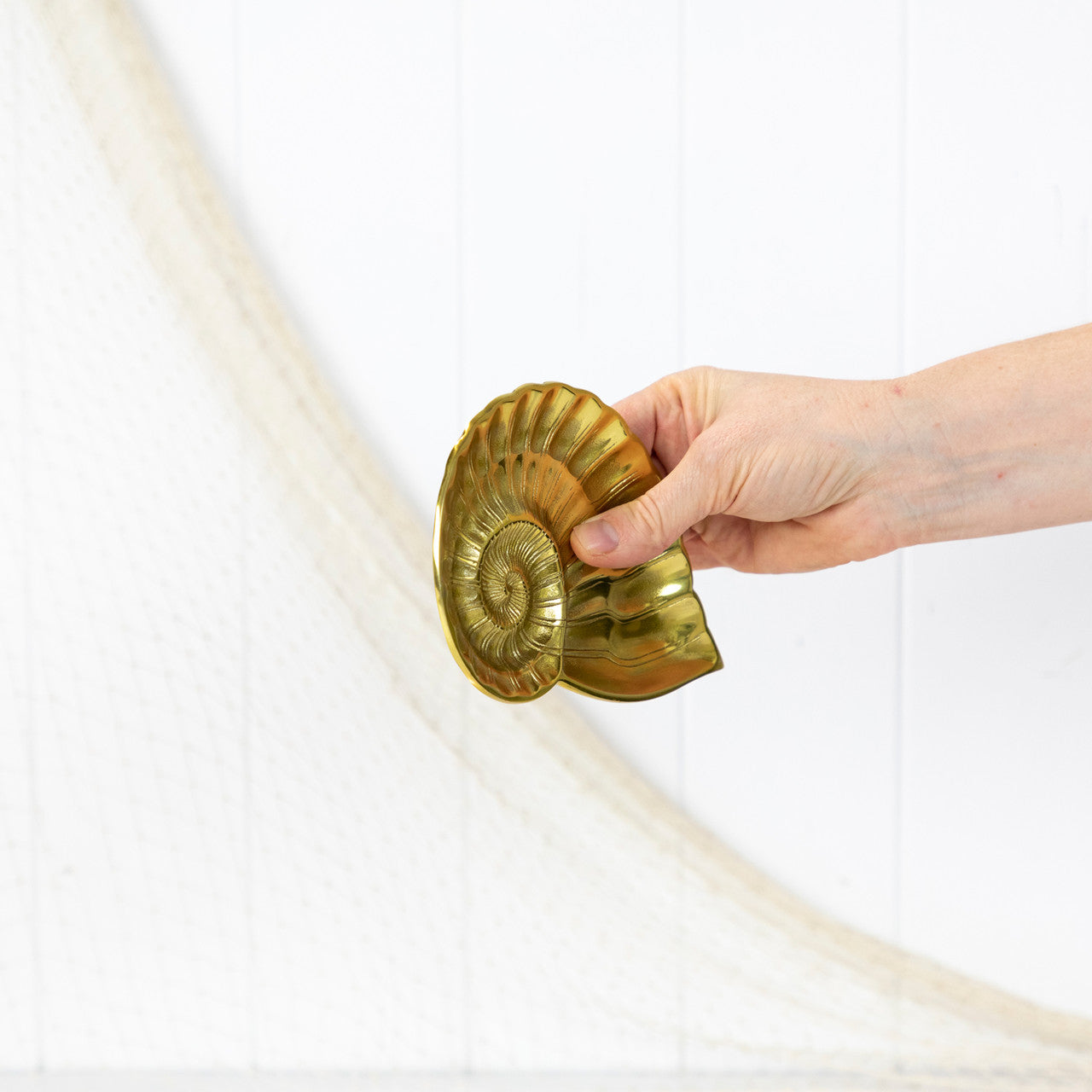 鹦鹉螺壳盘 - 闪亮