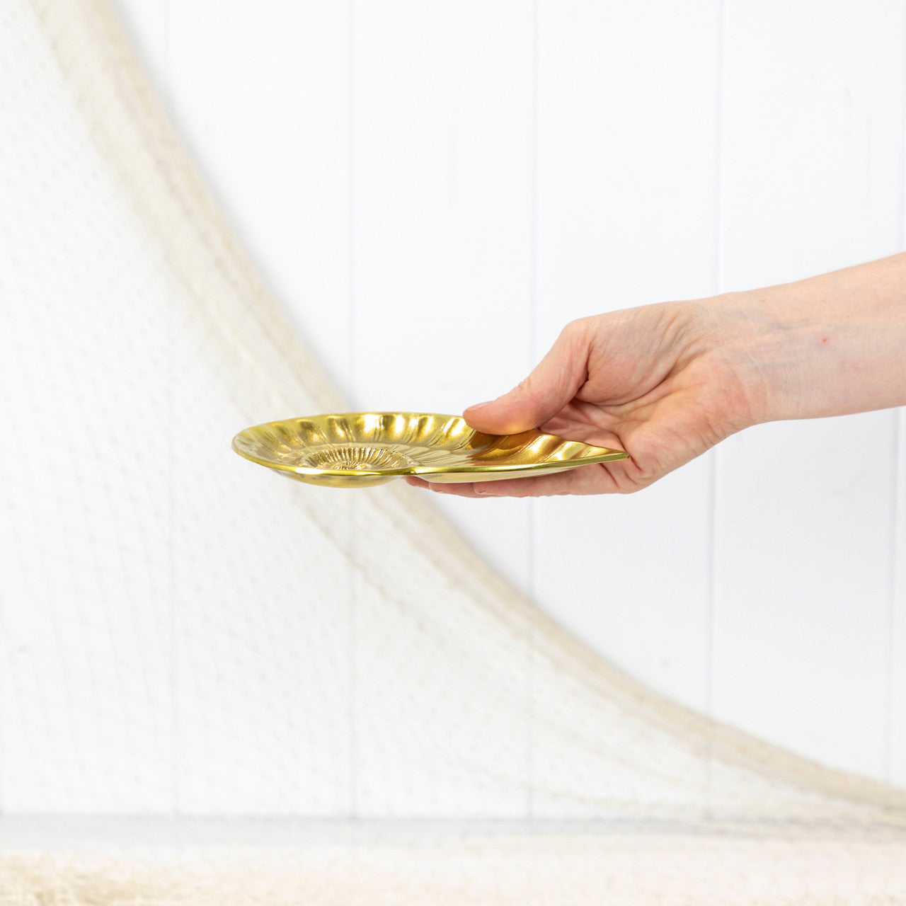 鹦鹉螺壳盘 - 闪亮