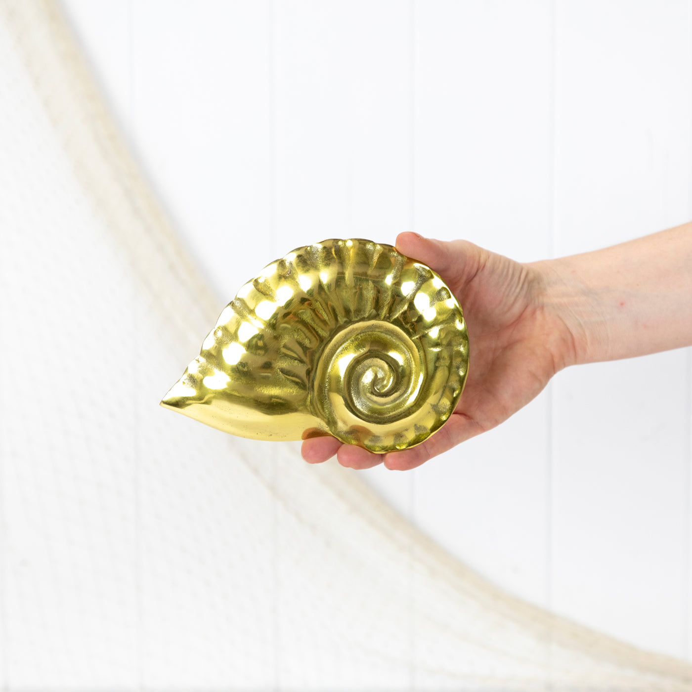 Nautilus Shell Dish - Shiny #092