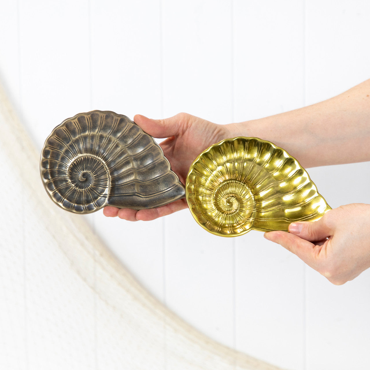 鹦鹉螺壳盘 - 闪亮