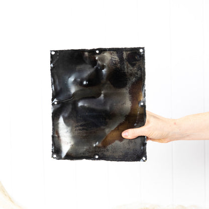 Metal Print (S) #868