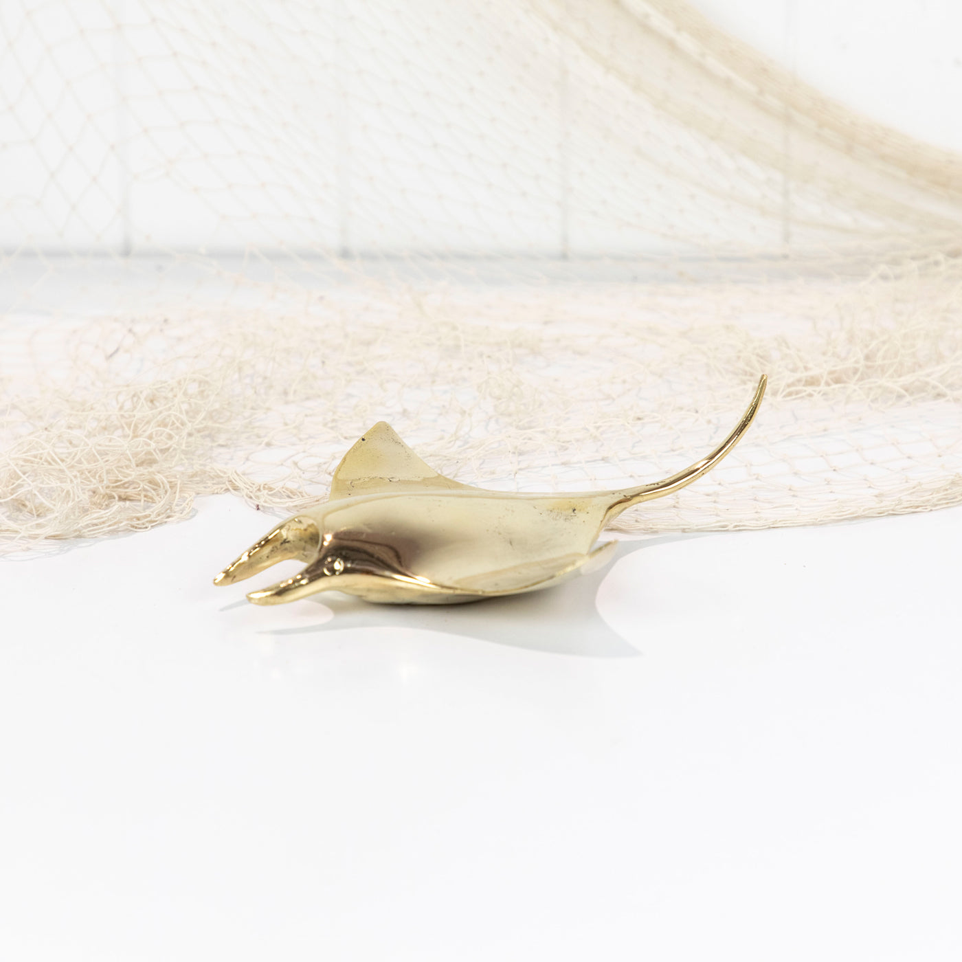 Mantaray Shiny (L) #0430