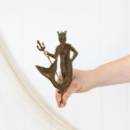 Merman Hook - Shiny #0402