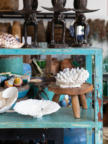 Bookcase / Shelves #4441