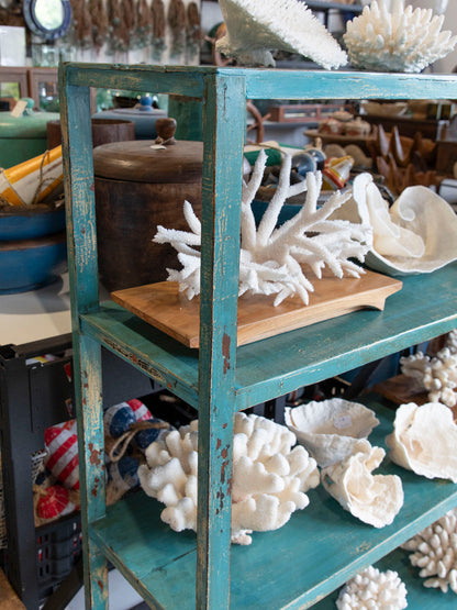 Bookcase / Shelves #4441