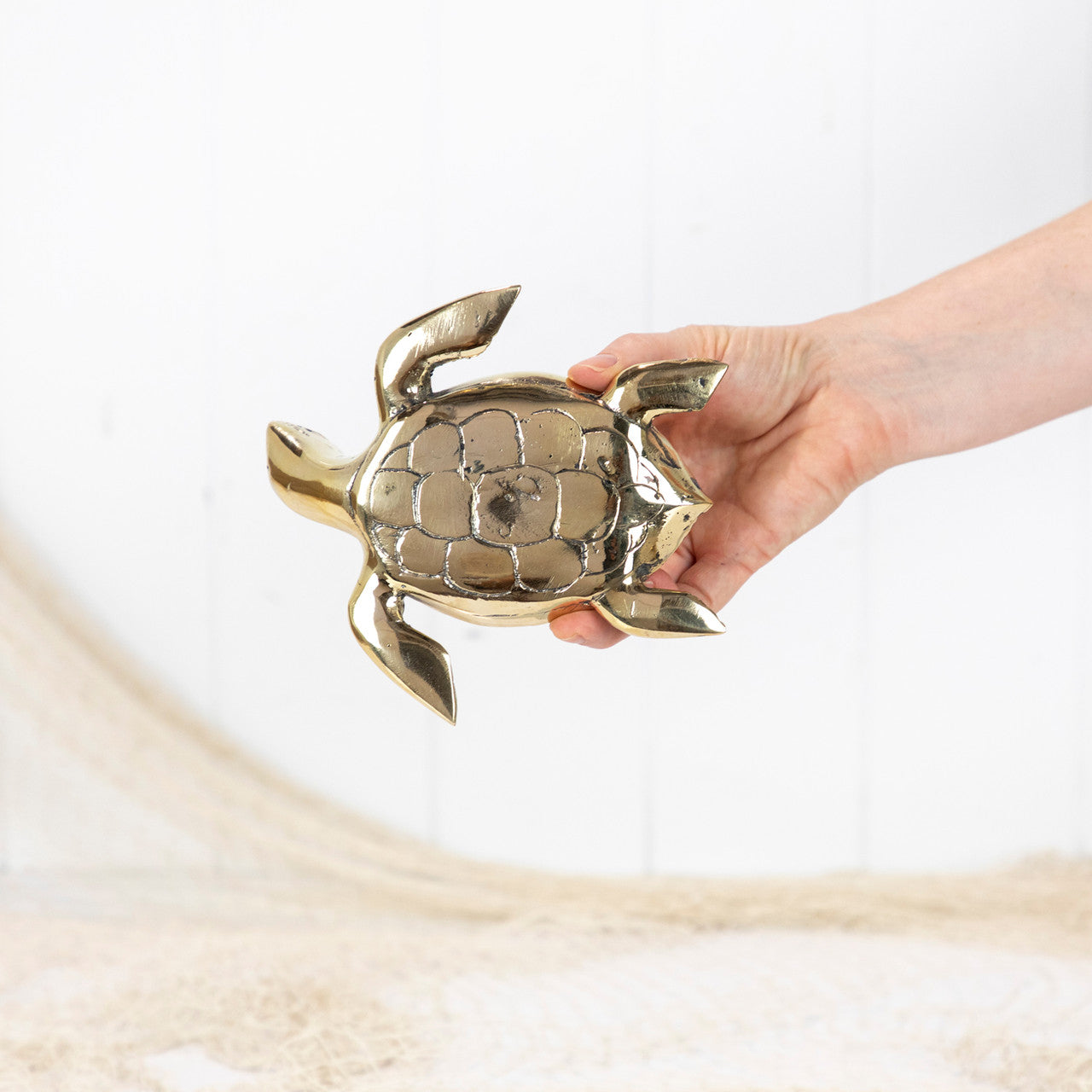 Turtle Shiny - Brass - Large