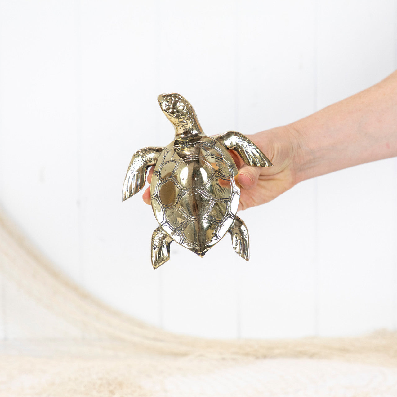 Turtle Shiny - Brass - Large