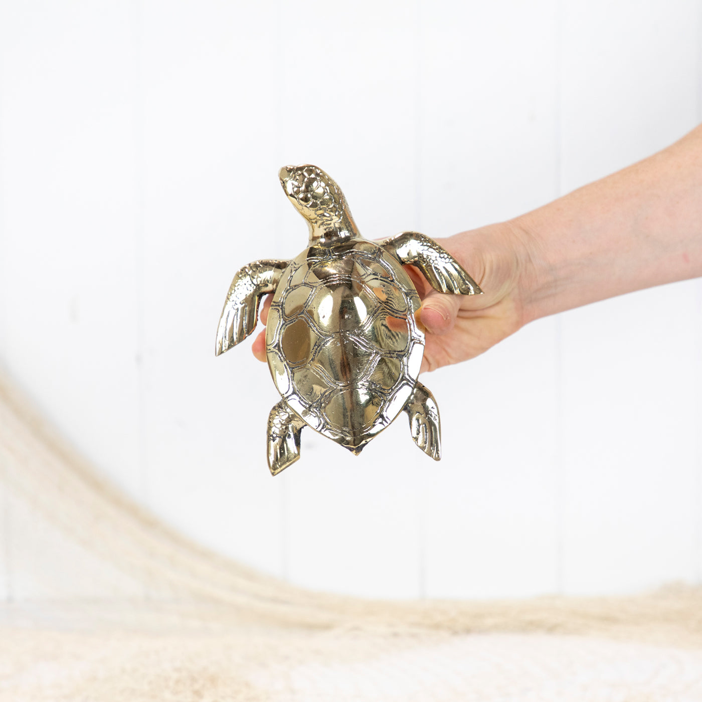 Turtle Shiny (L) #0371S