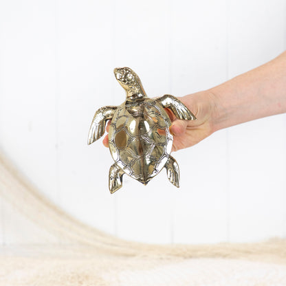 Turtle Shiny (L) #0371S