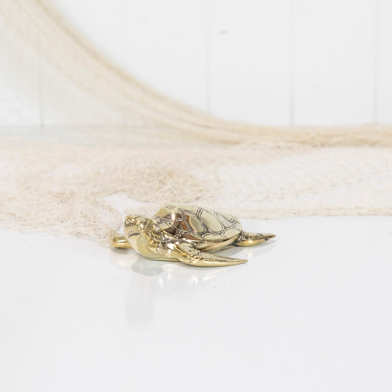 Turtle Shiny - Brass - Large