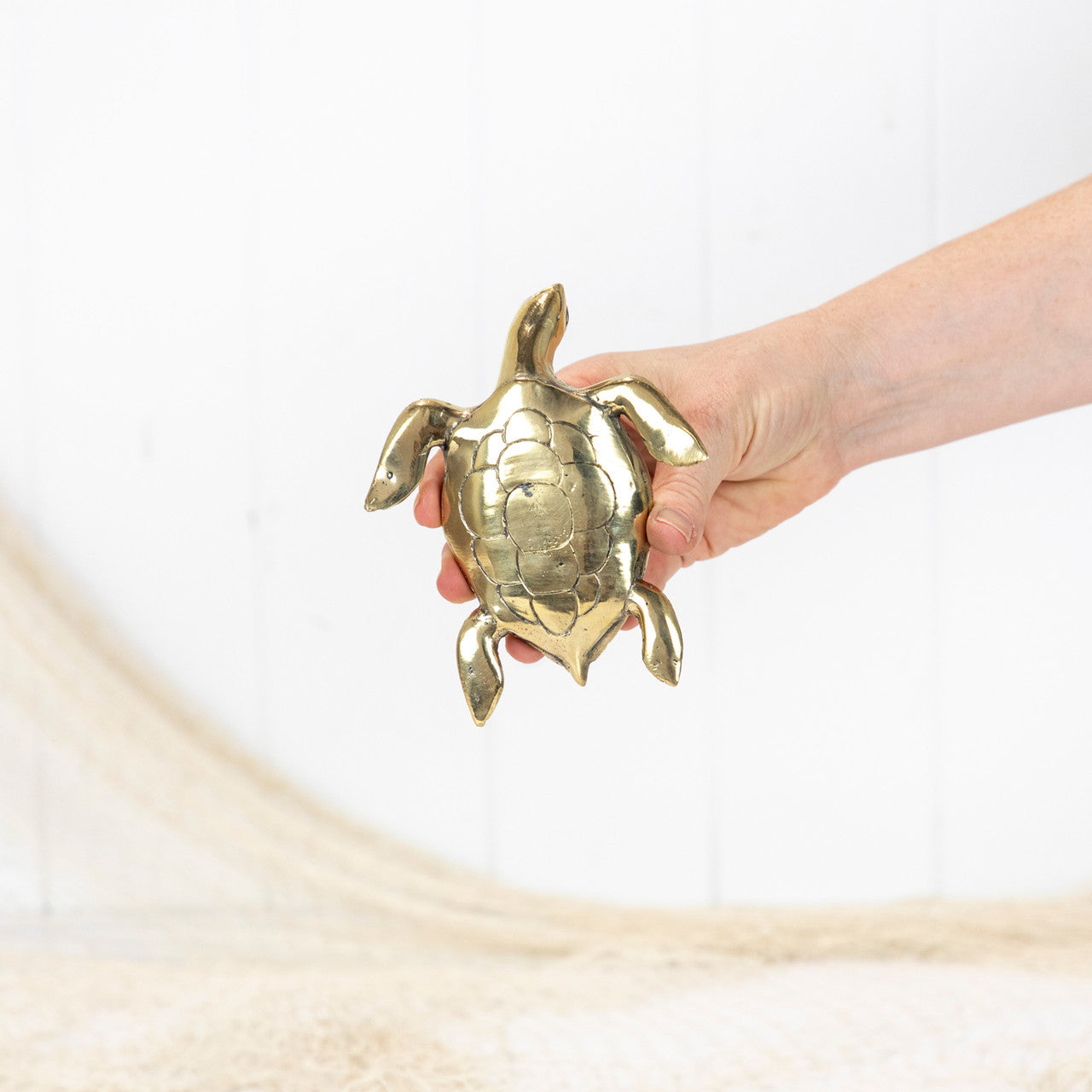 Turtle Shiny (M) #0370S