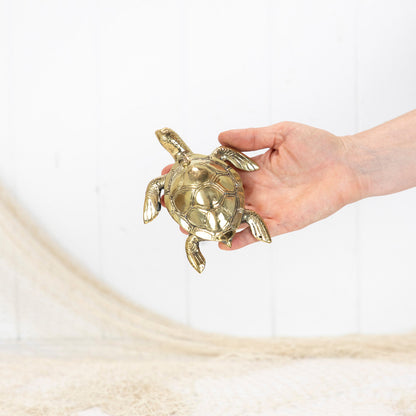 Turtle Shiny (M) #0370S