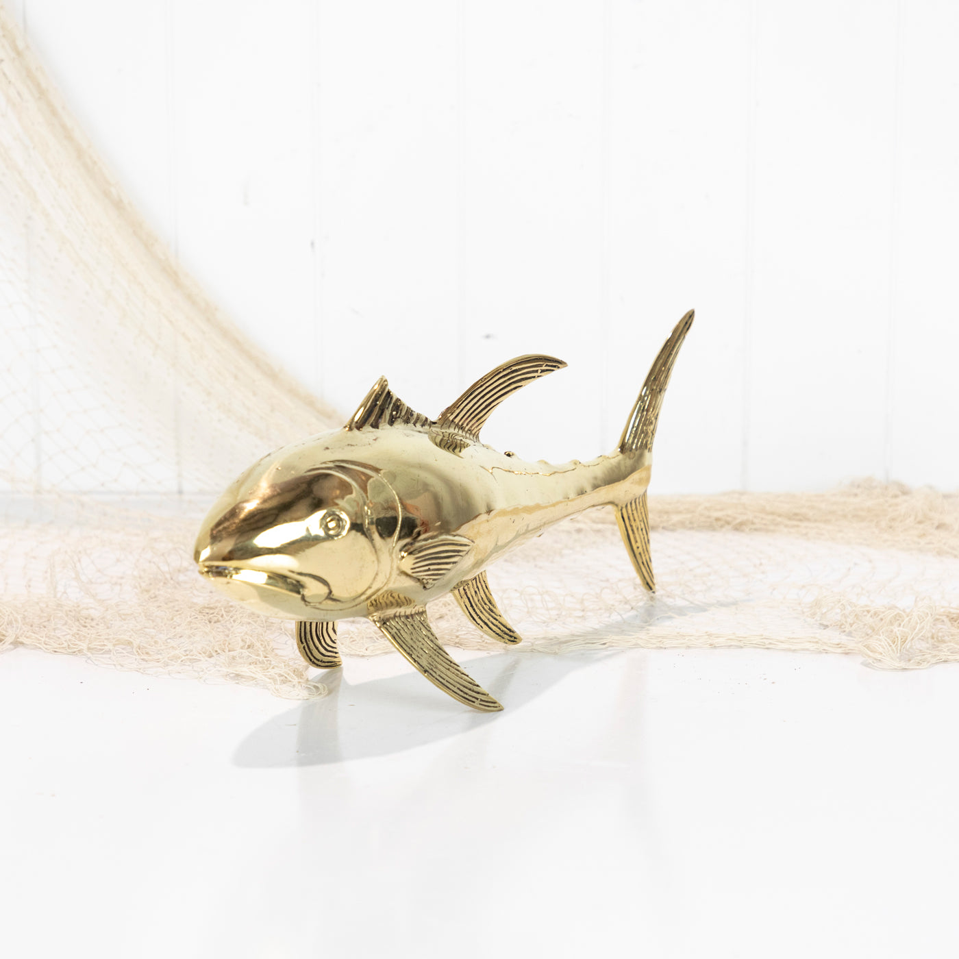 Tuna (M) Shiny #0906
