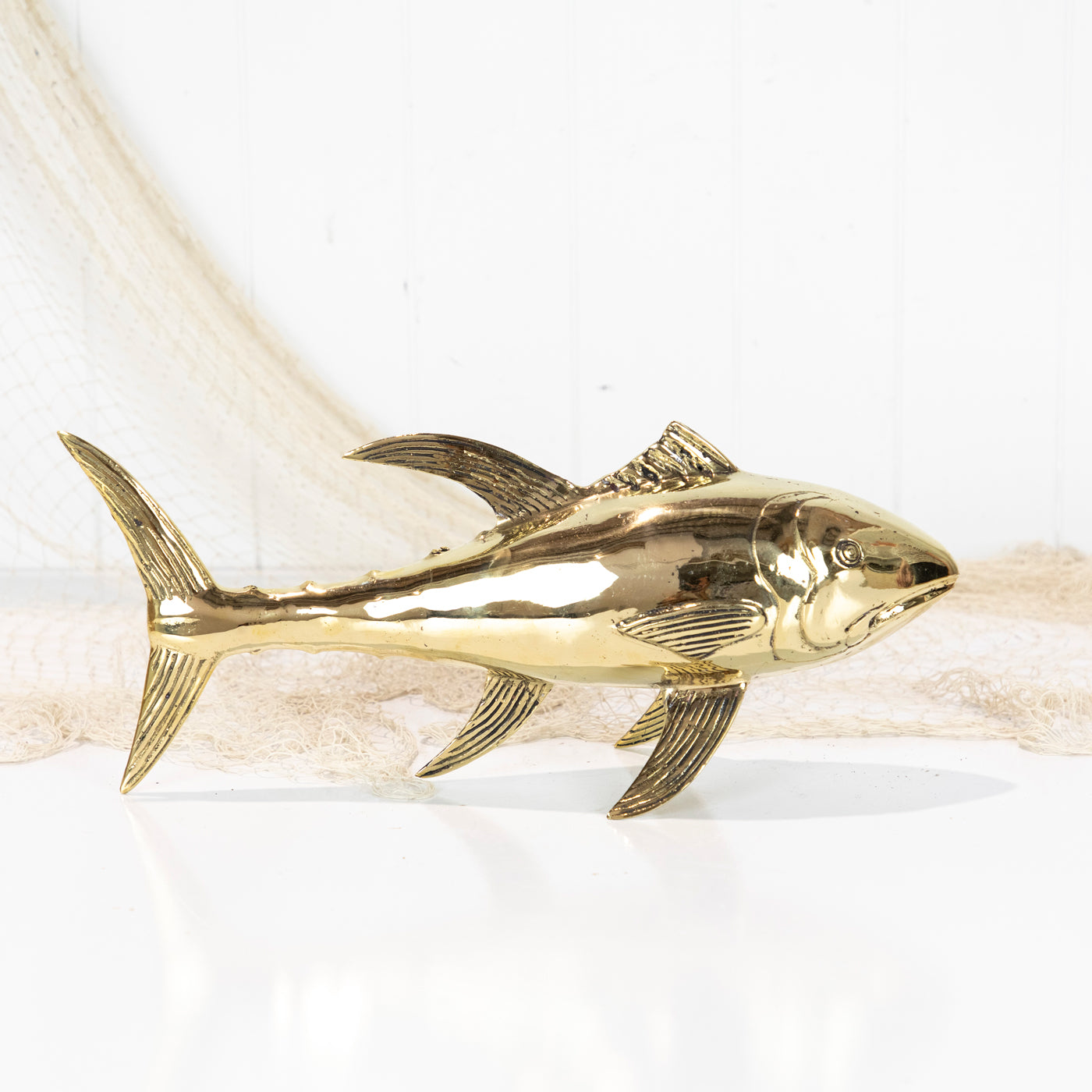 Tuna (M) Shiny #0906