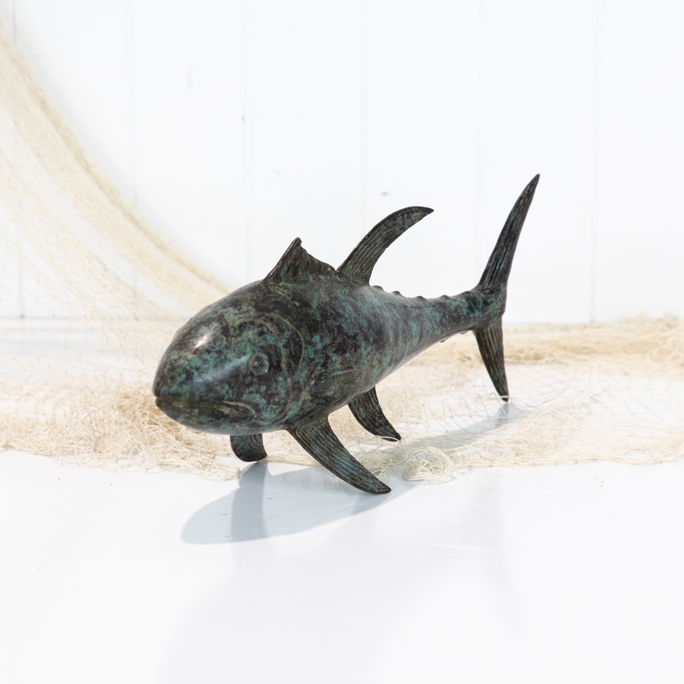 Tuna (M) - Aged #0905