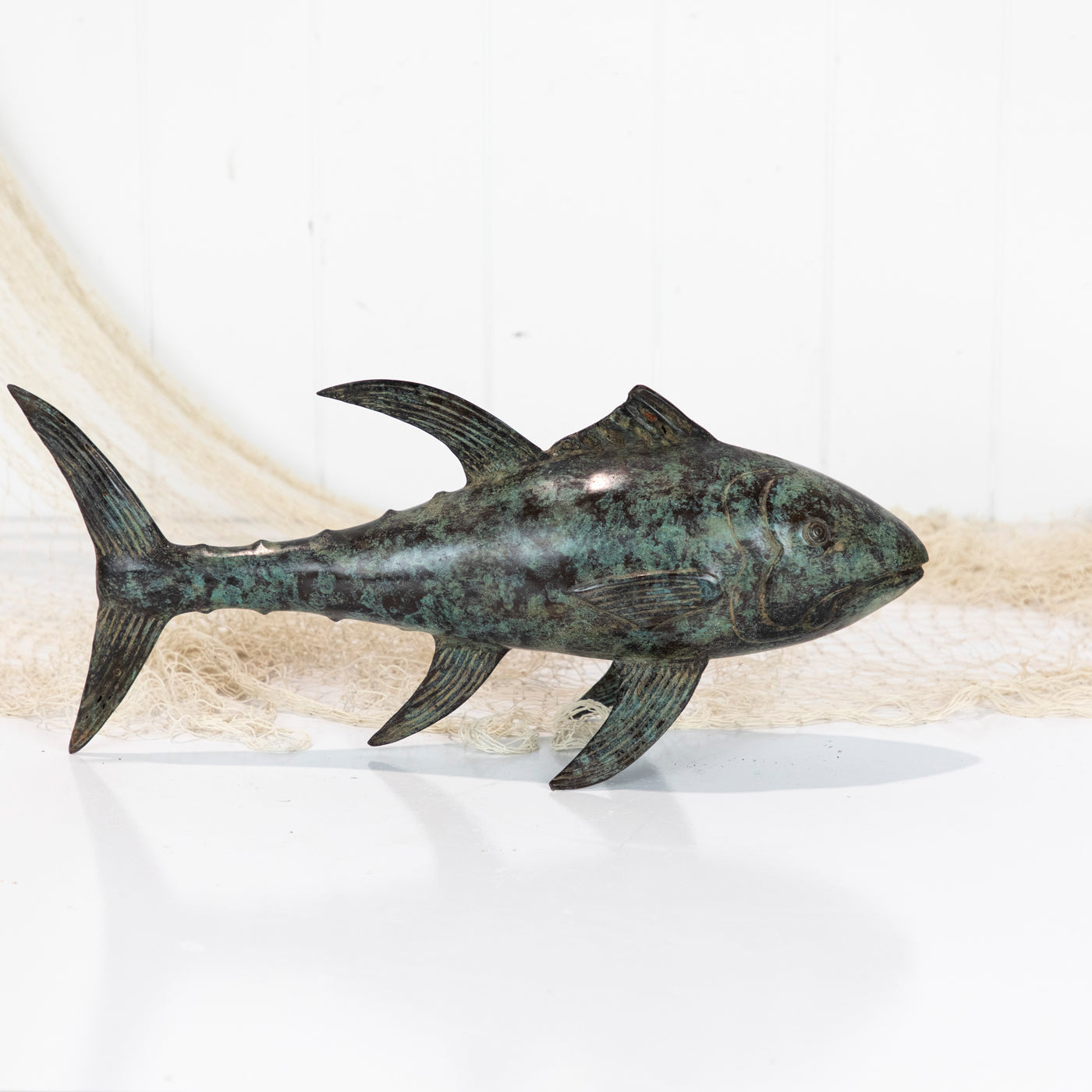 Tuna (M) - Aged #0905