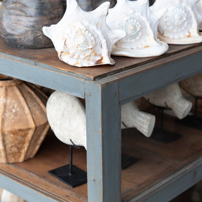 Shop Display Cabinet #6083