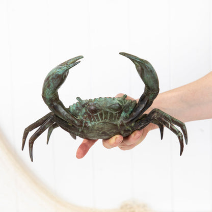 Crab (Xl) Aged #0373Ag